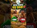 ধানের বাজারে বড় চমক! ₹2800 vs ₹1850 | WB Paddy Update 🔥