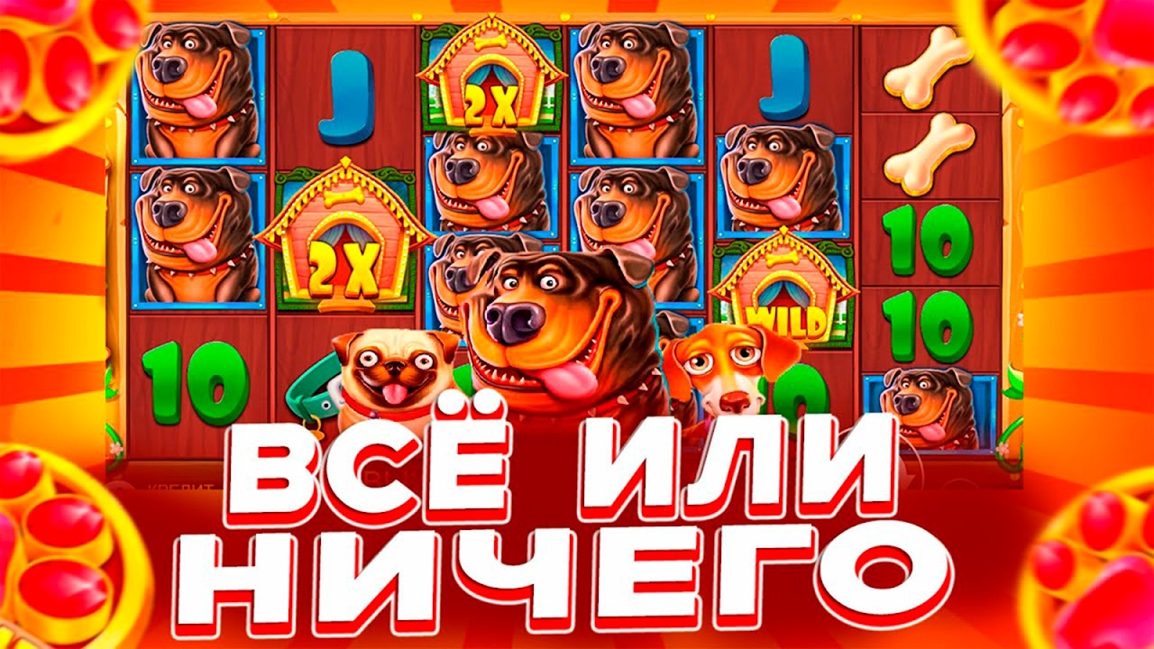 ВСЕ ИЛИ НИЧЕГО В The Dog House / ВЫБИЛ КУЧУ БОНУСОК И ЗАНОС НЕДЕЛИ !?