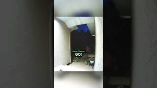 When a Teen Encounters the Chillest Homeowner…