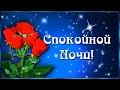 Спокойной ночи! Пусть тебе снятся самые тёплые и красивые сны! 💌🌙⭐💎💎💎💎💎💎💎💎💎💎💎💎💎💎💎💎💎💎💎💎💎💎💎💎💎💎💎💎💎💎💎💎💎💎