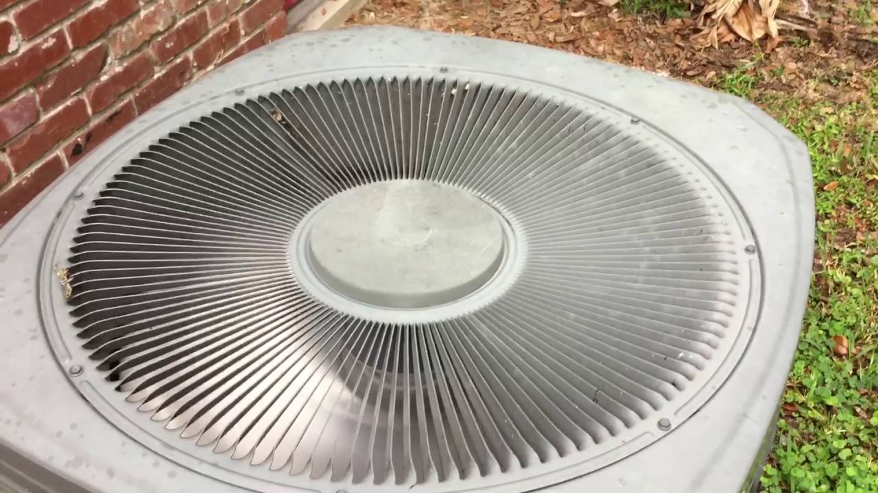 camera iphone 8 plus apk Lizard got caught in the AC caught on camera