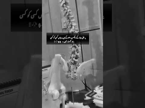 Waha Kise Ko Ksey Say Muhbat Ne