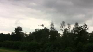 Everik Hans T-Rex 500 3D Heli By Efgtest Rc Air Amsterdam