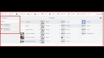 Version manager in AEM part2