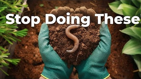 5 Gardening Mistakes That Kill Earthworms in Raised Beds (Fix These Now!)
