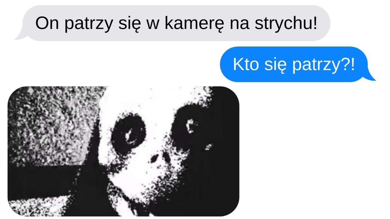 Ktoś jest na strychu | Cała historia