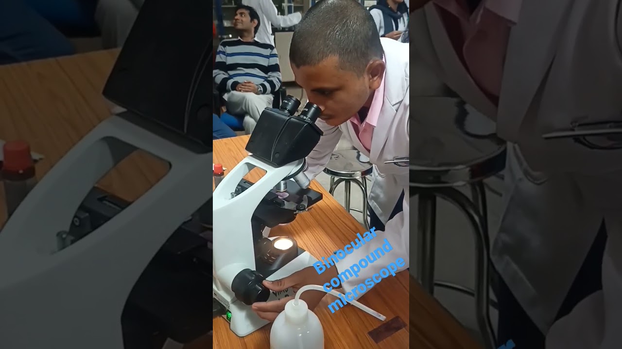 binocular compound microscope