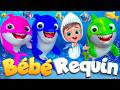 Bébé Requin et le trésor de la mer | Comptines Et Chansons | À Bébé Chanson @SuperLucaLEFrancais