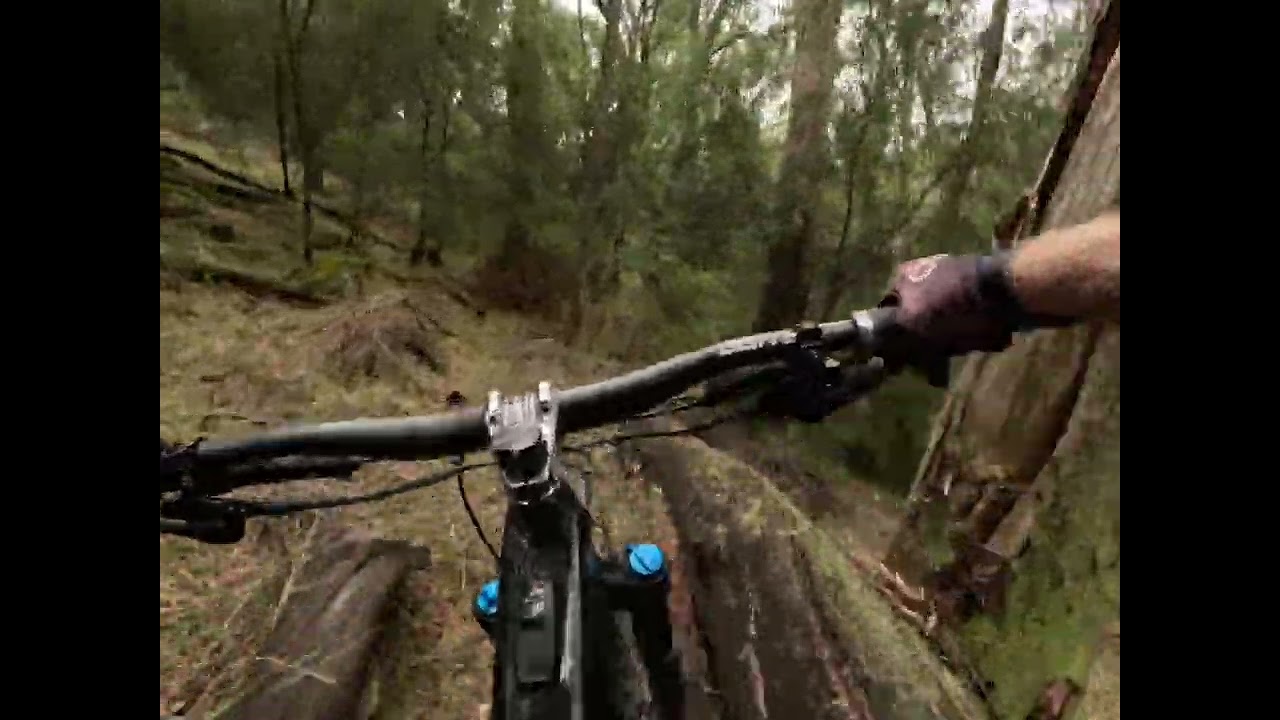 Mt Beauty MTB Trails - riding can cure an injury right? Miracle cure for my knee. Old school trail