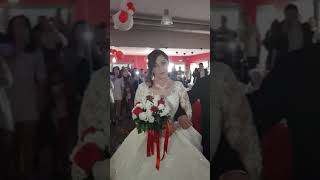 Mariage gitan Ludivine et brayan 63