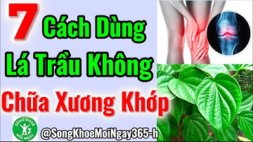Lá Trầu Không – Vị Thuốc Dân Gian Hỗ Trợ Giảm Đau Nhức Xương Khớp Hiệu Quả #songkhoe #dinhduong 