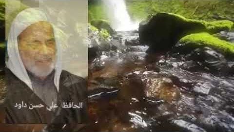 الحافظ علي حسن داود سورة سباٌ ( مرتل )