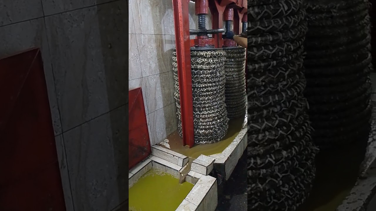 كيفية فصل زيت الزيتون والمرجان