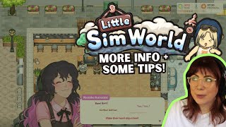 12 Hours Playtime Of Little Sim World What Ive Learned
