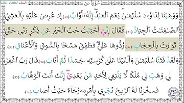 سورة ص (30 - 36) خليفة الطنيجي