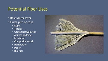 Introduction to Hemp Production Systems