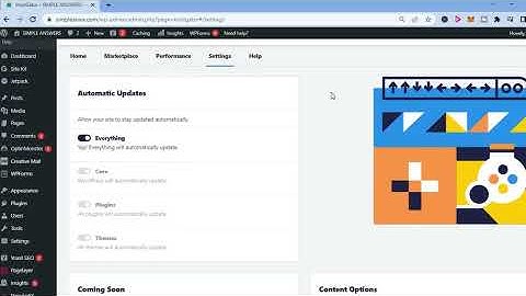 HOW TO DISABLE AUTO UPDATE ON WORDPRESS