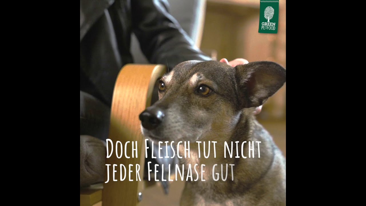 veggie dog origin