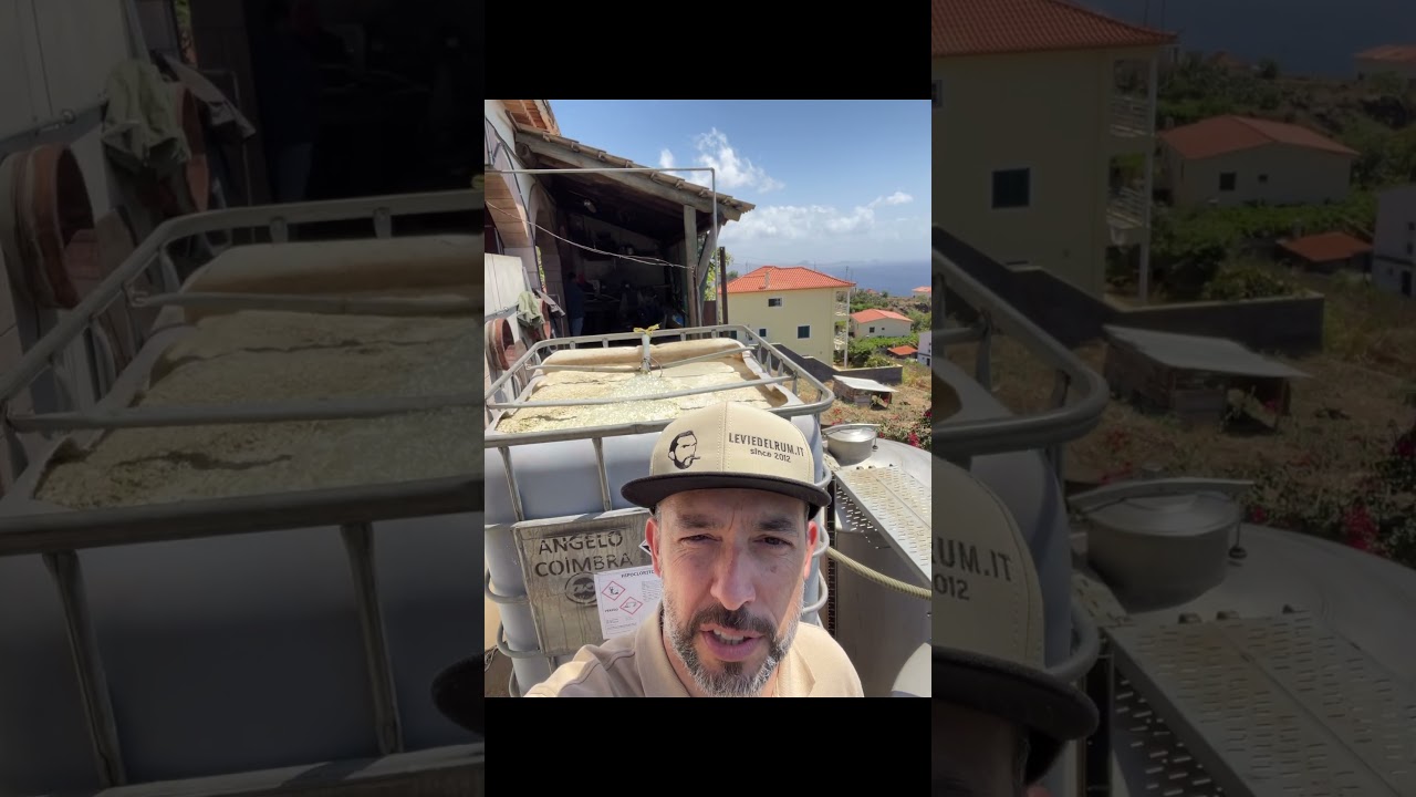 Come spremono la canna da zucchero nella distilleria O'Reizinho?