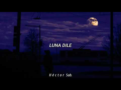 Luna dile que la amo - Nigga