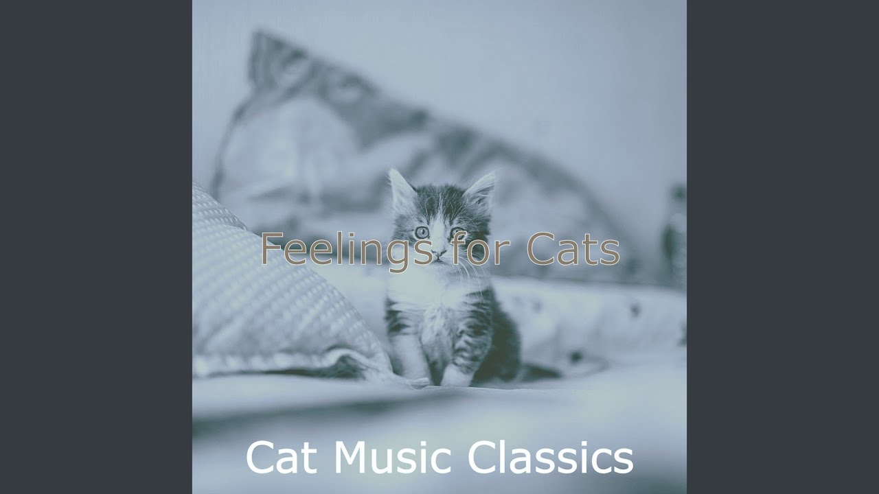 Suave Moods for Cats YouTube