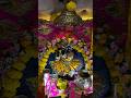 jay radha raman ji🦚🌸🙏@feelradha #radheradhe #radharaman #radharamana #radharamanlove #radharamana
