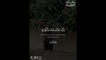 ﴿وَأَنَّ إِلى رَبِّكَ المُنتَهى﴾ | القارئ: راشد الحليبة