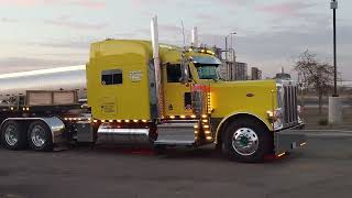 COOL YELLOW  2023 PETERBILT
