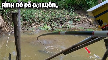 Tập 144 - Câu Cá Rô Ở Vùng Này Đụng Toàn Thứ Dữ Giật Đã Tay Thiệt | Trương Rô Miền Tây