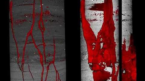 Mancos Shale failed in triaxial cell: PD 15 PostTest