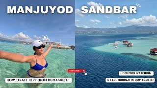 Manjuyod Sandbar Dolphin Watching In Negros Oriental 2023 Maldives Of The Philippines 