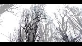 Gyilkos - Almost Lost It