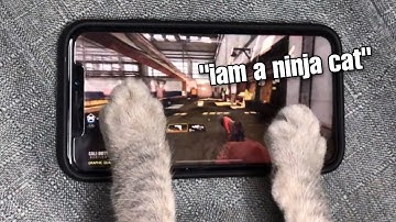 5 Guide to Master Ninja Defuse in CODM