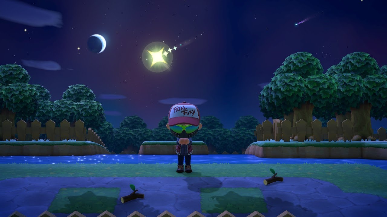 to Torna Island Life Wishing upon a Meteor Shower (Animal