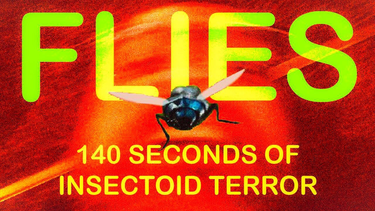 FLIES YouTube