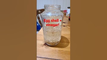 Egg shell & vinegar fertilizer! home made!