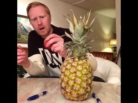 PPAP 全然わからへん！