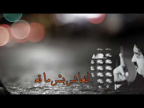 اللبن نفس البياض وكلسا مطروك