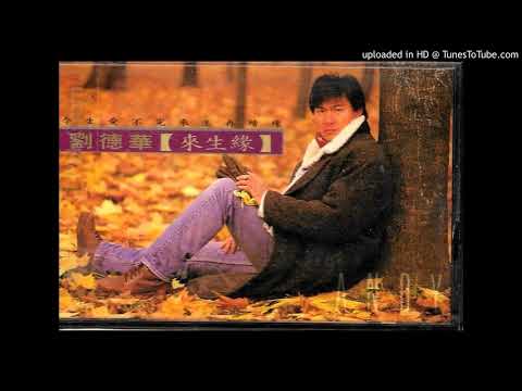 劉德華-愛不完