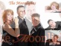 The moonlights - Die zomernacht