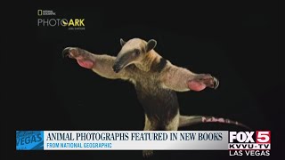 Photographer captures amazing images of 10,000 species Photographer captures amazing images of 10,000 species