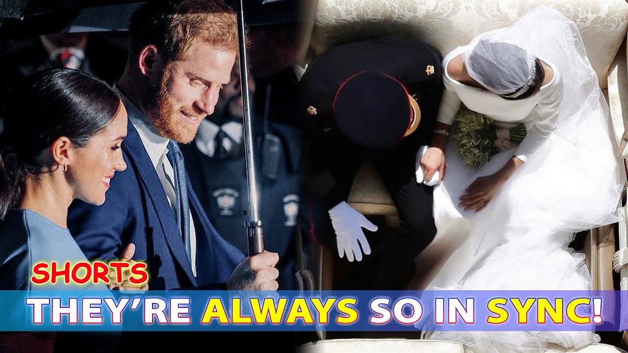 ROYAL SHORTS #170: 😊 They&rsquo;re always so in sync ️ - YouTube