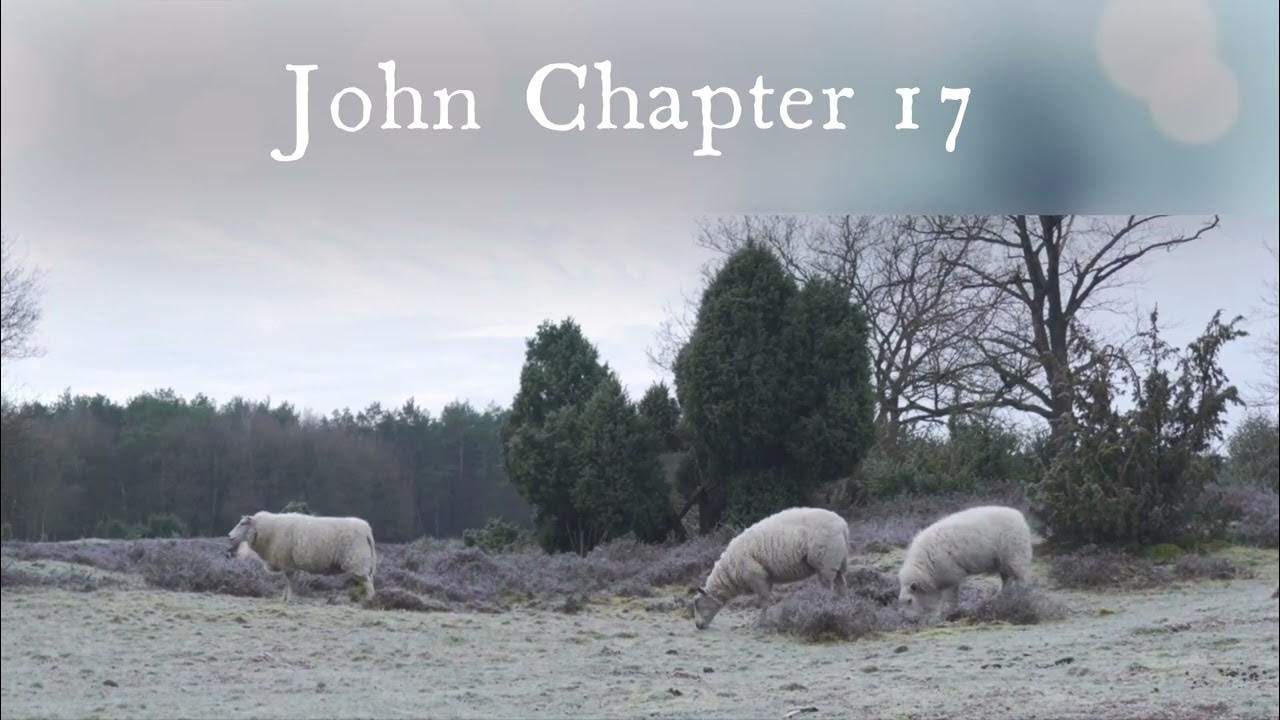 The Book Of John Chapter 17 New King James Version NKJV Audio the-book-of-john-chapter-17-new-king-james-version-nkjv-audio