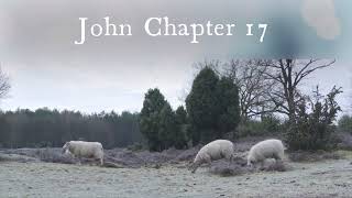 The Book of John Chapter 17 - New King James Version (NKJV) - Audio Bible