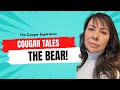 Cougar tales  the bear