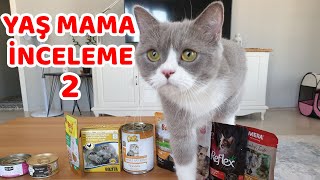 KEDİLER İÇİN YAŞ MAMA İNCELEMESİ 2 by MilaLuna 29,712 views 3 years ago 8 minutes, 59 seconds