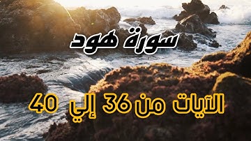 سورة هود | الآيات من من ٣٦ الي ٤٠