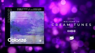 Bound To Divide, Lewyn - Coming Home (Piece Wise Remix)