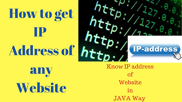 How To Get any Website IP Address in Java