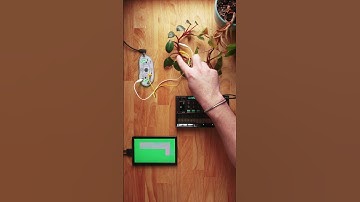 jamming on the plant with Playtronica Biotron #jamuary2025 #ambient #korg #synth